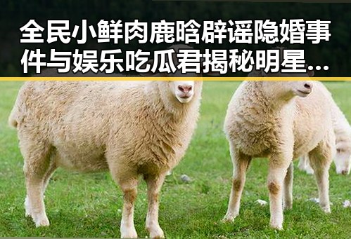全民小鲜肉鹿晗辟谣隐婚事件与娱乐吃瓜君揭秘明星幕后故事的反差变化
